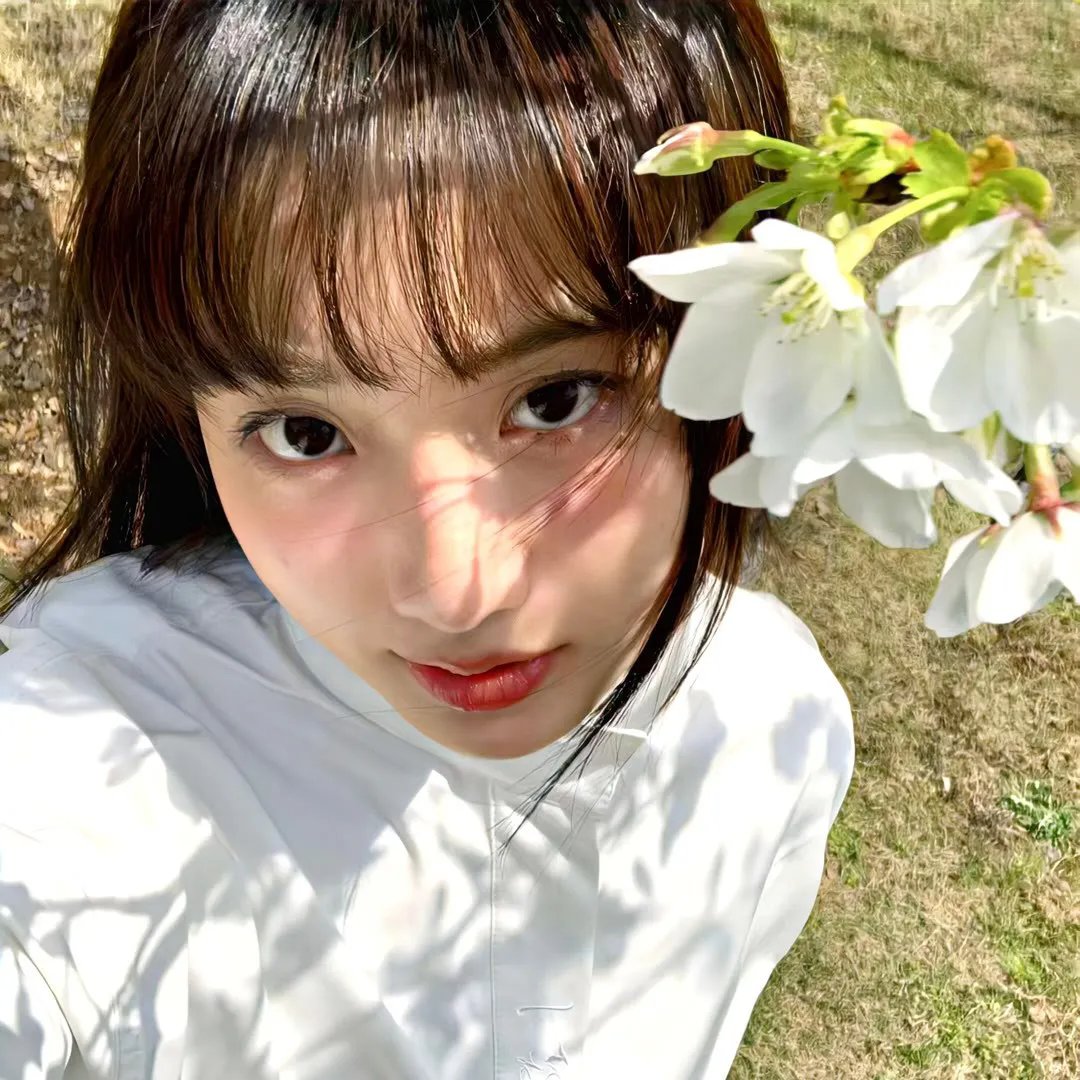 熄灭的日光