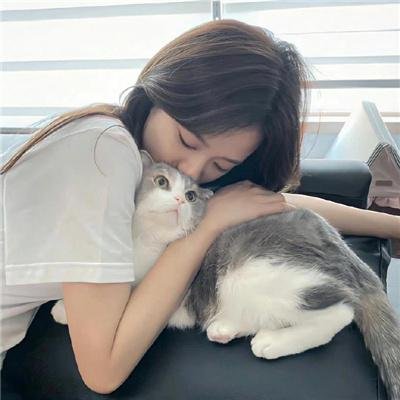 齐姆与友